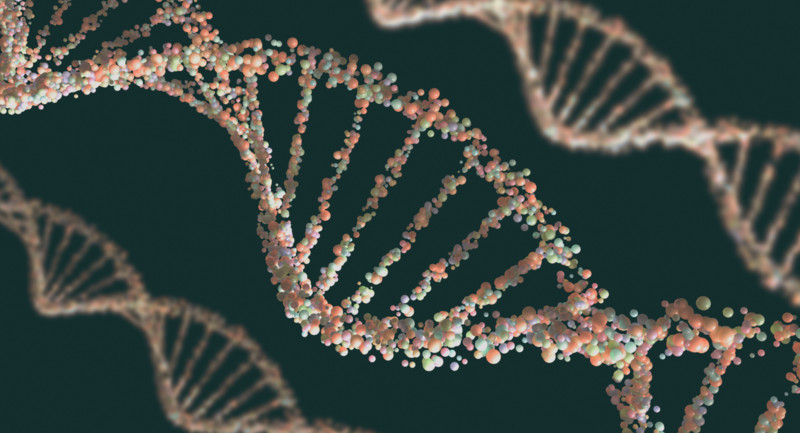 Understanding your Genetic Test Result – Amino Acid Mutations