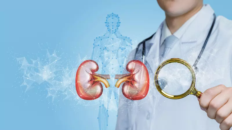 Photo of kidneys